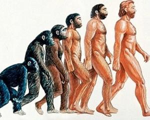 Еволюція зменшила &amp;quot;чоловіче достоїнство&amp;quot; і збільшила жіночі груди