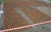В Черновцах раскопали более 8 тысяч боевых гранат (ФОТО)