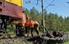В Украине произошло еще одно трагическое ДТП на железнодорожном переезде 