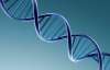 Учені назвали аналіз ДНК недостовірним