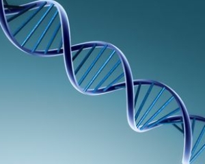 Учені назвали аналіз ДНК недостовірним