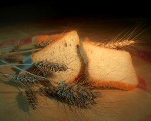 Давні люди навчилися випікати хліб ще 30 тис. років тому - учені