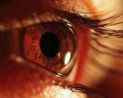 Слепым возвращают зрение, имплантируя микрочип в глаз