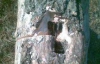 На Донбасе мужчина нашел в дереве мину (ФОТО)