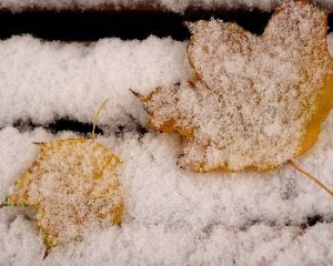 Снег пойдет до 4 декабря, а зима будет суровой и затяжной