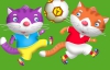 Коты могут стать неофициальным талисманом Евро-2012 в Украине (ФОТО)