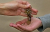 Черновецкий продавал недвижимость на Крещатике по $540 за кв.м