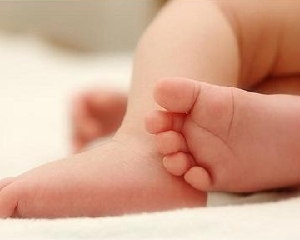 В шести регионах Украины рождаемость превысила смертность