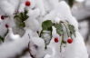 Через тридцать лет снег в Украине станет историей