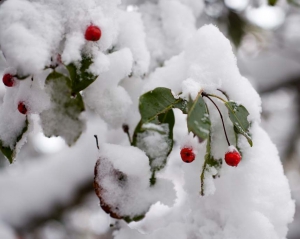 Через тридцять років сніг в Україні стане історією