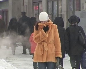 В Москве морозы убили 9 человек, еще 60 пострадали