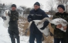 Винницкие спасатели вытянули лебедей из замерзшего пруда (ФОТО)