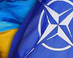 В НАТО похвалили Януковича и Ко