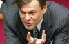 Терехин: Вслед за Тимошенко нужно сажать и Путина