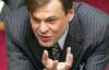 Терехин: Вслед за Тимошенко нужно сажать и Путина