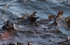 Из затонувшего судна в Черное море вылилась нефть