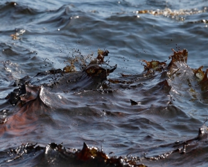 Из затонувшего судна в Черное море вылилась нефть