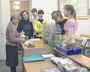 Учителька замучила 12 щурів, щоб навчити дітей правильно харчуватися