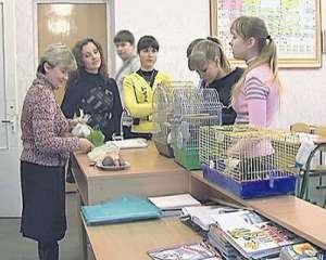 Учительница замучила 12 крыс, чтобы научить детей правильно питаться 