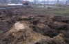 В Киеве уничтожили еще один парк (ФОТО)