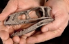 В Аргентине нашли останки динозавра возрастом 230 млн лет (ФОТО)