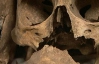 Археологи: Самый умный древний человек жил на территории России (ФОТО)