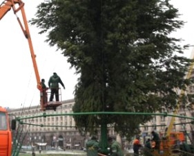 Из Майдана уберут главную елку страны