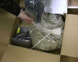 Міліція вилучила у киянина 200 кг курильних сумішей 