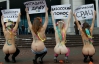&quot;Феменки&quot; відповіли Януковичу голими сідницями (ФОТО)
