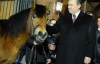 Януковичу в Польше подарили двух гуцульских лошадей (ФОТО)