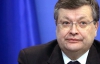 Грищенко говорит, что МИД обязано мешать оппозиции