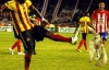 В Колумбии футболист напал на сову во время матча