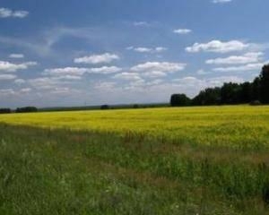 Рада відмовилася продовжувати мораторій на продаж землі