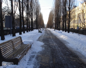 В Киеве на бульваре Шевченко уничтожают тополи