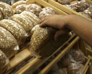 Пекарі хочуть збільшити ціни на хліб