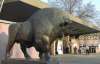 В Киевском зоопарке с начала зимы погибли 500 животных - экологи