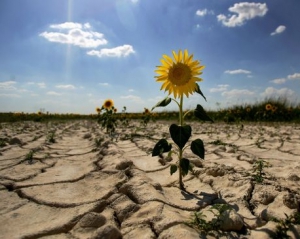 Британские эксперты пророчат Украине засухи и ливни