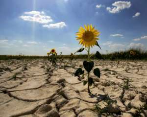 Британські експерти пророкують Україні посухи та зливи
