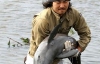 Японець врятував дельфіна, котрий застряг на рисовому полі