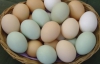 До Пасхи цены на яйца повысятся на 2-3 грн
