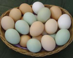 До Великодня ціни на яйця зростуть на 2-3 грн