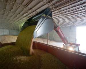 У Азарова решили квотировать экспорт зерна до 1 июля