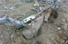 В Крыму мужчина усовершенствовал сапу артиллерийским снарядом