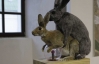 Чичкан в Художественном арсенале показал, как спариваются кролики