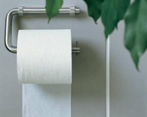 Немецкому депутату грозит тюремное заключение за похищение туалетной бумаги