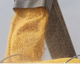 Украина отказалась ограничивать экспорт кукурузы