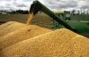 Украина сможет продать за границу максимум 1,5 млн тонн кукурузы - эксперты