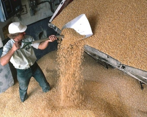 В Минагропроди хотят продавать за границу еще больше зерновых