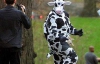 Американец в костюме коровы украл из супермаркета 96 литров молока