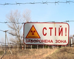 Радіація в Чорнобильській зоні небезпечна для помаранчевих птахів